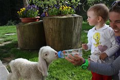 Unser Lamm